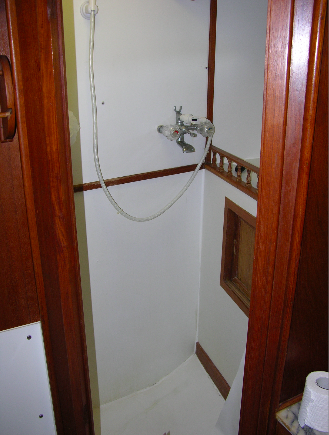 The separate shower in the middle head.